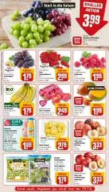REWE PETZ Prospekt woche 32 Seite 8