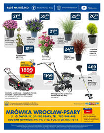 Mrówka gazetka Strona 4