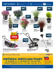 Mrówka gazetka Strona 4