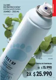 Catálogo Oriflame Página 29