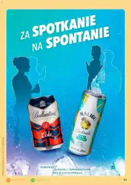 Eurocash Cash & Carry gazetka | Alkohole Strona 48