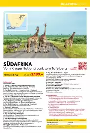 Billa Reisen Flugblatt Seite 13
