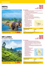 Billa Reisen Flugblatt Seite 8