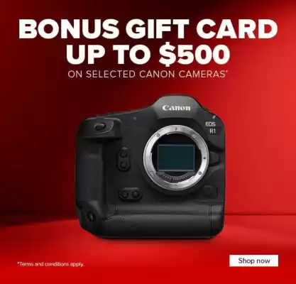 Camera House (valid until 13-08)