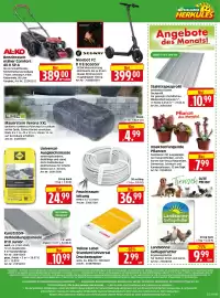 Herkules Baumarkt Prospekt woche 32 Seite 16