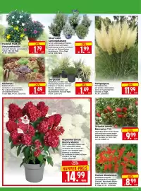 Herkules Baumarkt Prospekt woche 32 Seite 2