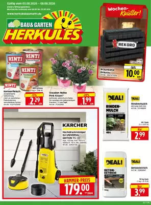 Herkules Baumarkt (gültig bis 8-08)