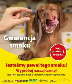Kakadu gazetka Strona 7