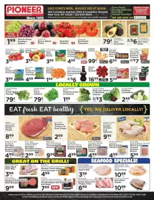Pioneer (valid until 10-08)