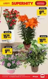 Polomarket gazetka tydzień 32 Strona 19