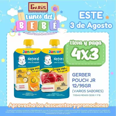 Garis (válido hasta 3-08)