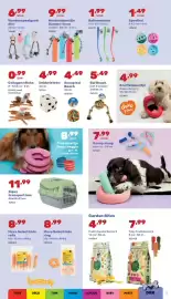 Happyland folder Pagina 11