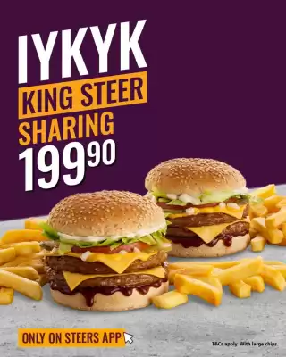 Steers (valid until 17-08)