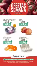 Catálogo Natural da Terra Página 1