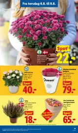 Lidl tilbudsavis Side 11