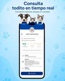Catálogo Farmacias Similares Página 2