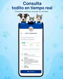 Catálogo Farmacias Similares Página 2