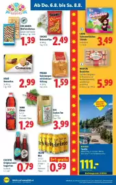 Lidl Flugblatt woche 32 Seite 18