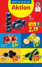 Lidl Flugblatt woche 32 Seite 40