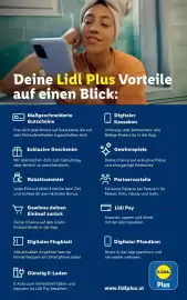 Lidl Flugblatt woche 32 Seite 48
