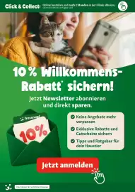 Fressnapf Flugblatt Seite 17