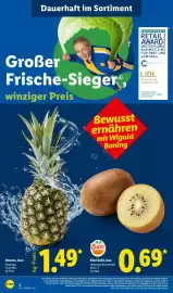 Lidl Prospekt woche 33 Seite 2