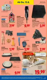 Lidl Prospekt woche 33 Seite 47