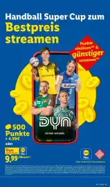 Lidl Prospekt woche 33 Seite 67