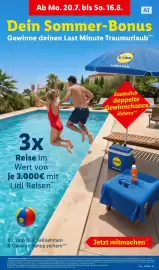 Lidl Prospekt woche 33 Seite 71