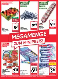 Maximarkt Flugblatt woche 32 Seite 14