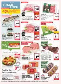 Maximarkt Flugblatt woche 32 Seite 8