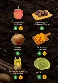Folleto BonpreuEsclat Página 10