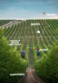 Folleto BonpreuEsclat Página 6