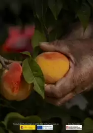 Folleto BonpreuEsclat Página 8