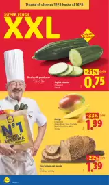 Catálogo Lidl semana 33 Página 34