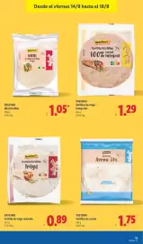 Catálogo Lidl semana 33 Página 45