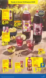 Catálogo Lidl semana 33 Página 51