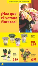Catálogo Lidl semana 33 Página 56