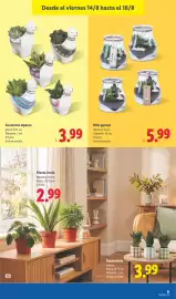 Catálogo Lidl semana 33 Página 57