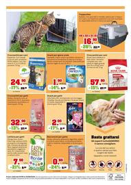 Volantino TuttoGiardino Pagina 2
