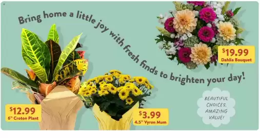 Fresh Thyme weekly ad week 32 Page 7
