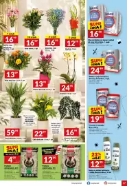 Twój Market gazetka tydzień 32 Strona 17