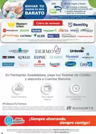 Folleto Farmacias Guadalajara Página 16