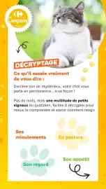 Catalogue Carrefour | Découvrez notre marque page 12