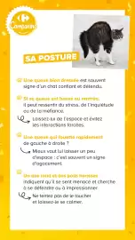 Catalogue Carrefour | Découvrez notre marque page 14