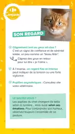 Catalogue Carrefour | Découvrez notre marque page 15