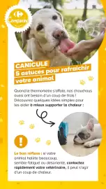 Catalogue Carrefour | Découvrez notre marque page 23