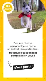 Catalogue Carrefour | Découvrez notre marque page 28