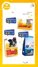 Catalogue Carrefour | Découvrez notre marque page 6