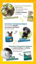 Catalogue Carrefour | Découvrez notre marque page 9